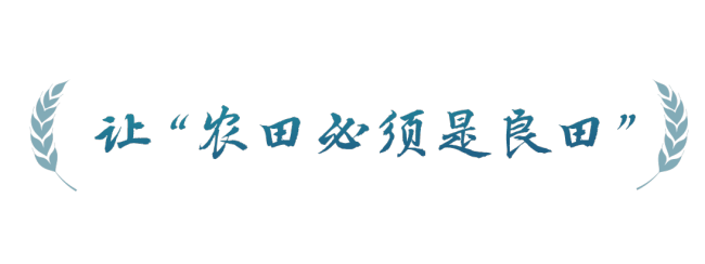 春事看农桑丨农田就是农田