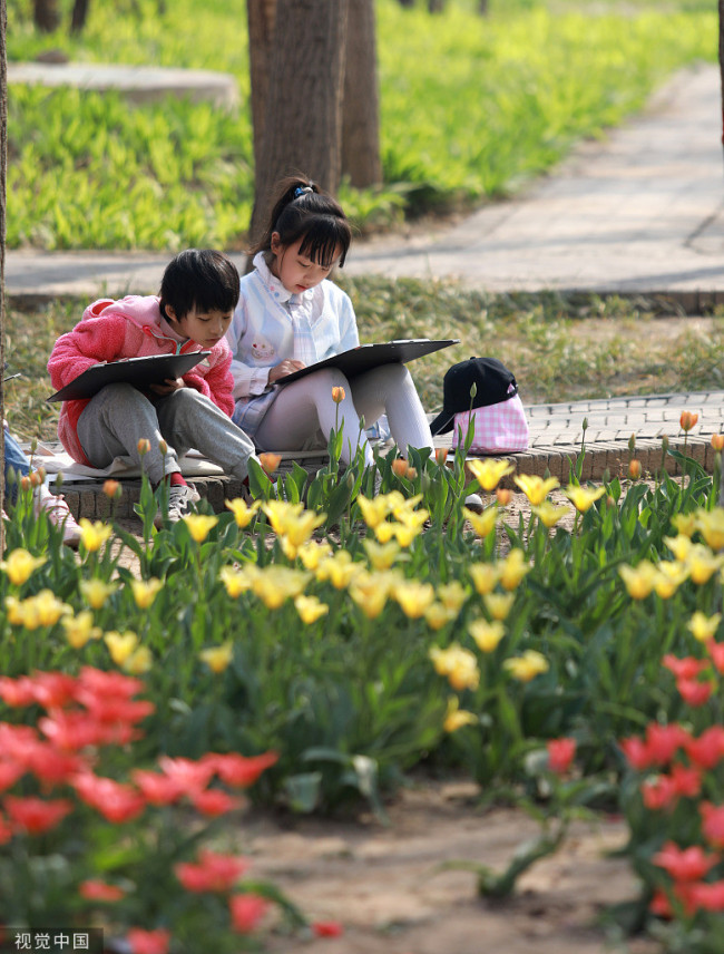2022年4月4日，小朋友在石家庄市植物园绘画郁金香。