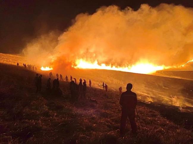 蒙古国四省先后发生野火