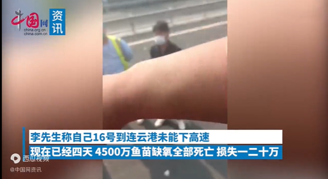 带星司机下高速遭拒 一车鱼苗死亡 侠客岛:一刀切封控堵路就是懒政