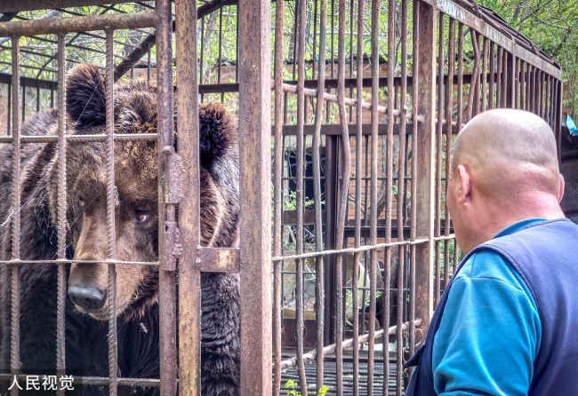 沈阳一居民小区内养棕熊 被志愿者举报