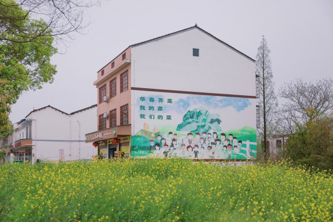 华容县芥菜小镇图片