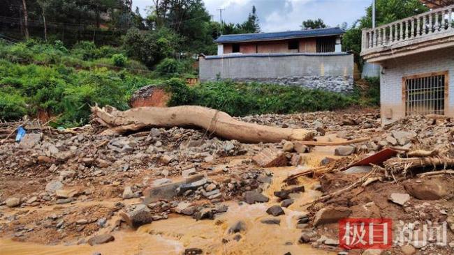 云南丘北暴雨 牛被吓得又叫又跳 村民：没见过这么严重的泥石流，至今后怕