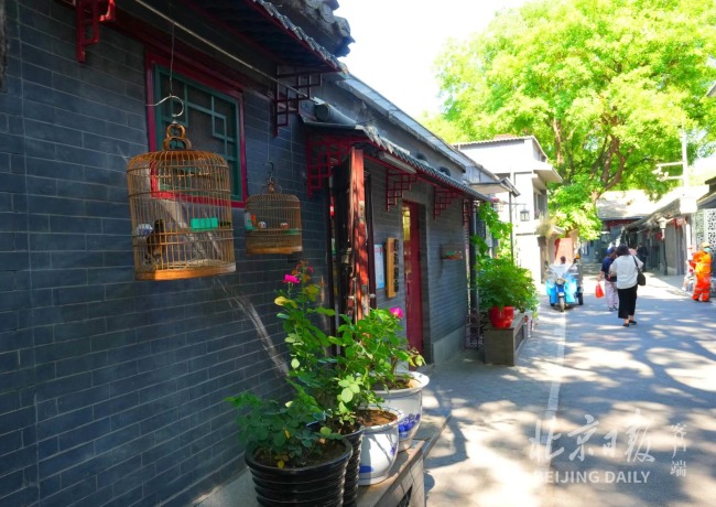 五年来，北京3958条背街小巷“焕然一新”