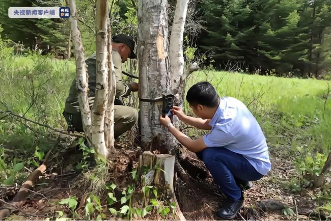 黑龙江穆棱林区发现“完达山一号”踪迹