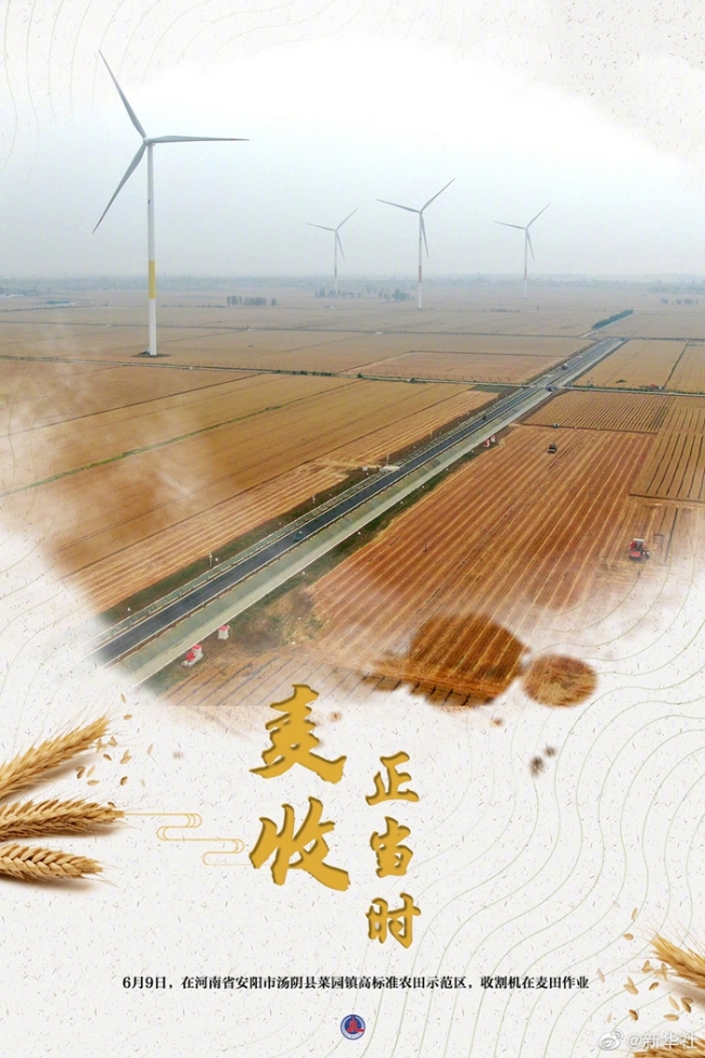 大国“粮”策丨麦香四溢！好一幅麦收全景图