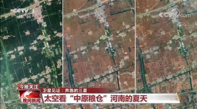 大国“粮”策 | 感受丰收喜悦，卫星视角见证奔跑的“三夏”