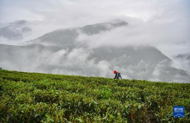 奮力譜寫雪域高原新篇章——沿著總書記的足跡之西藏篇