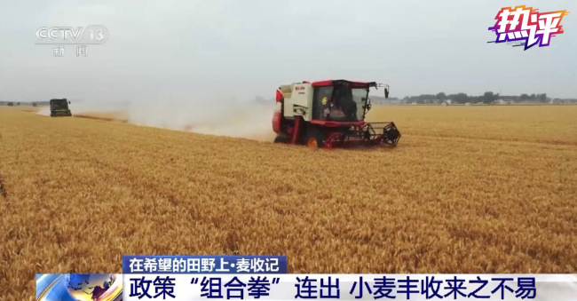 热评丨夏粮丰收来之不易，端牢端好“中国饭碗”