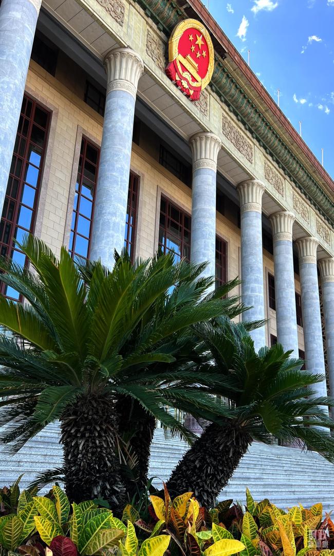 时政新闻眼丨在这场对话会上，习近平为何强调要真心实意谋发展？