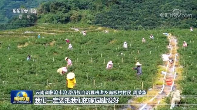 【奋进新征程 建功新时代·大美边疆行】云南：强边富民兴产业