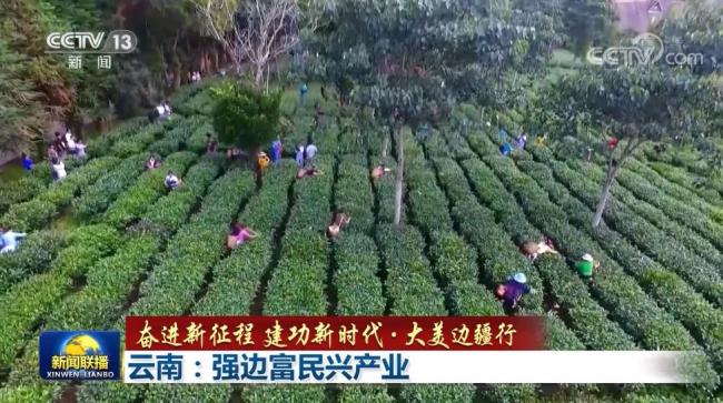 【奋进新征程 建功新时代·大美边疆行】云南：强边富民兴产业