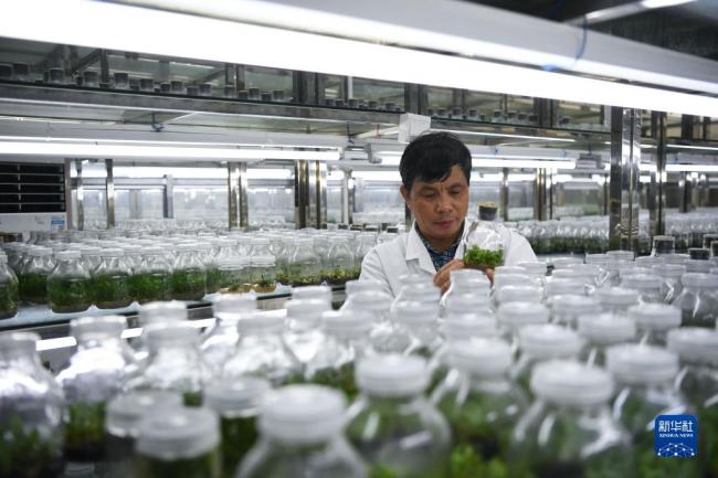 第二个国家植物园成立