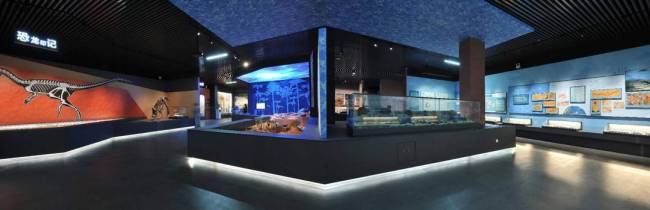 昆明市博物馆展览上新，快来探秘“侏罗纪世界”