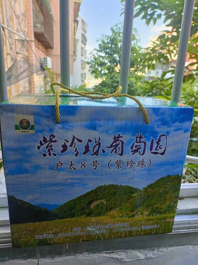 云求助|五万斤葡萄面临滞销重庆巫山老乡急盼销路