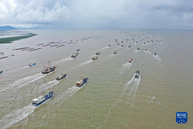 8月16日，渔船驶向大海（无人机照片）。