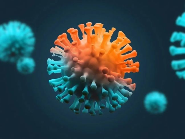 欧洲药管局：新冠病毒今冬可能出现全新变种