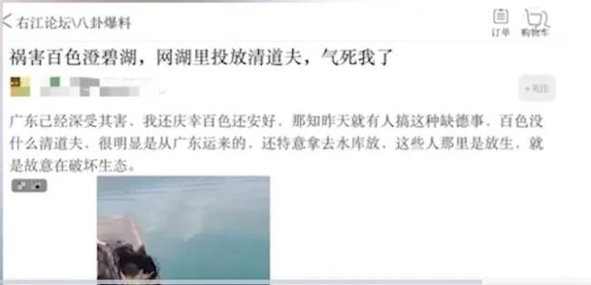 水库内放生有害鱼种清道夫引大量关注 男子致歉