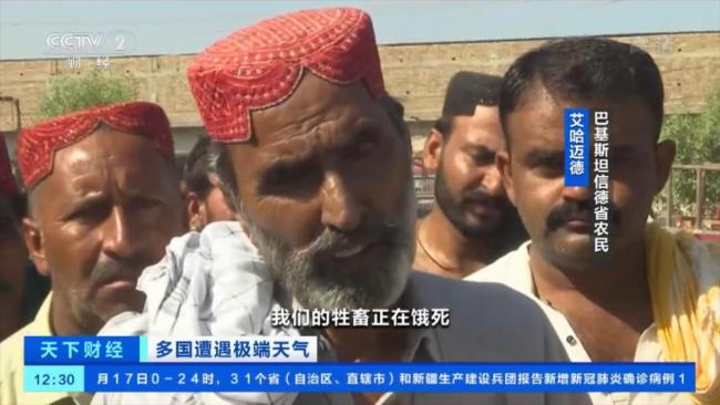 巴基斯坦洪灾致经济损失超100亿美元