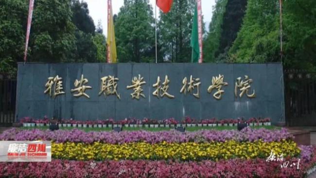 “不挣大钱，只挣小钱”学院书记放任酒色 被称夜店小王子