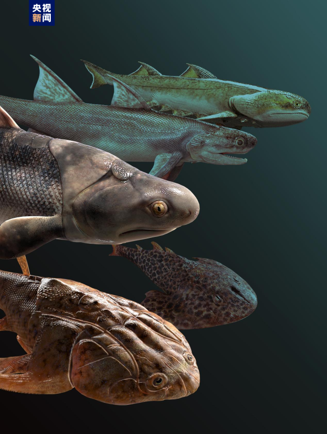 志留纪早期鱼类化石揭秘“从鱼到人”演化关键跃升