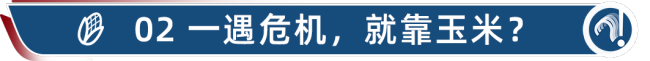 玉渊谭天丨全球粮荒，美国放火烧粮？