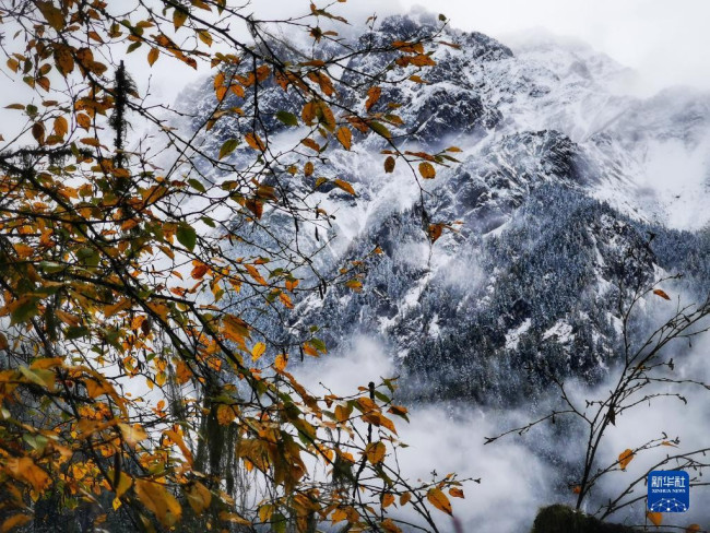 这是10月7日在世界自然遗产地九寨沟拍摄的雪后景色。