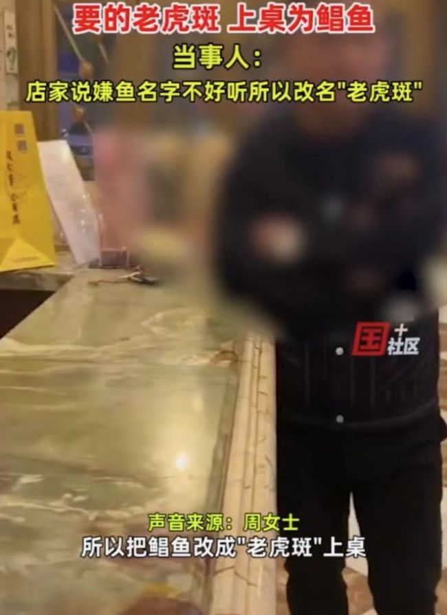 女子加价点老虎斑端上来变鲳鱼 厨师长：这样卖多年了