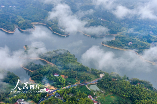 浙江安吉：秋雨迷蒙胜春景