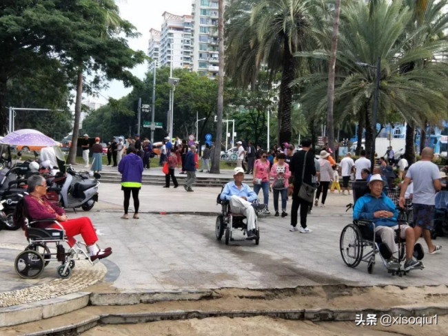 东北老人坐轮椅组团飞三亚过冬