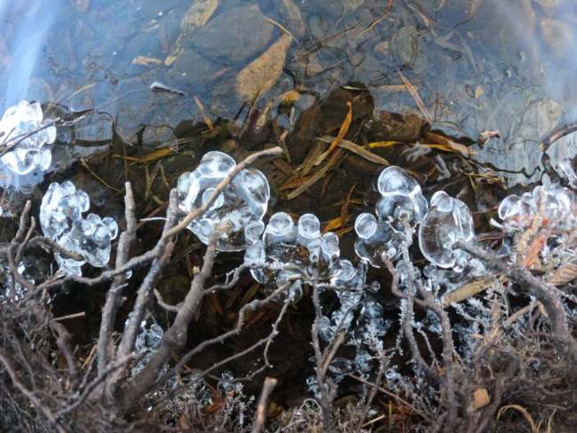 晚秋时节 内蒙古大兴安岭“开”冰花