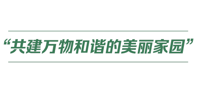 中国式现代化丨人与自然和谐共生