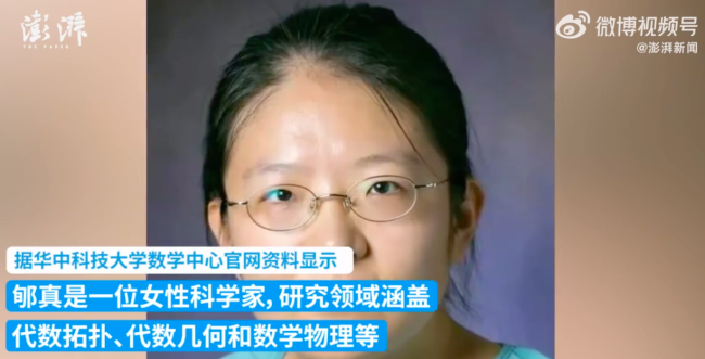 媒体评“数学界的甄嬛”发神级论文