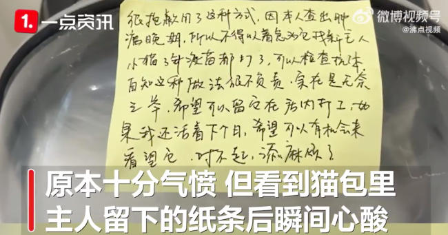 肿瘤晚期主人给猫咖留纸条托付爱猫