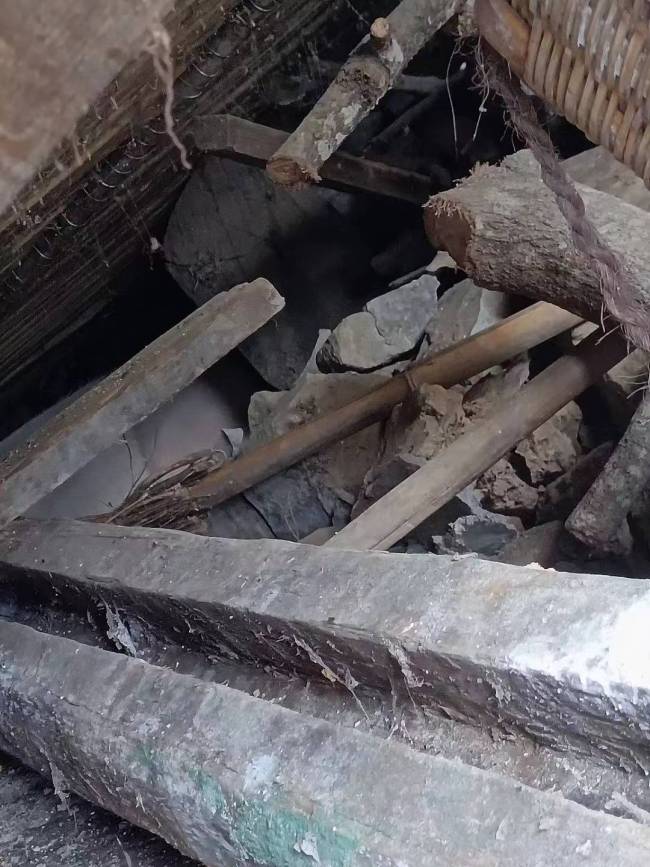 泸定地震家猪被埋45天后被发现 主人：掉了近100斤