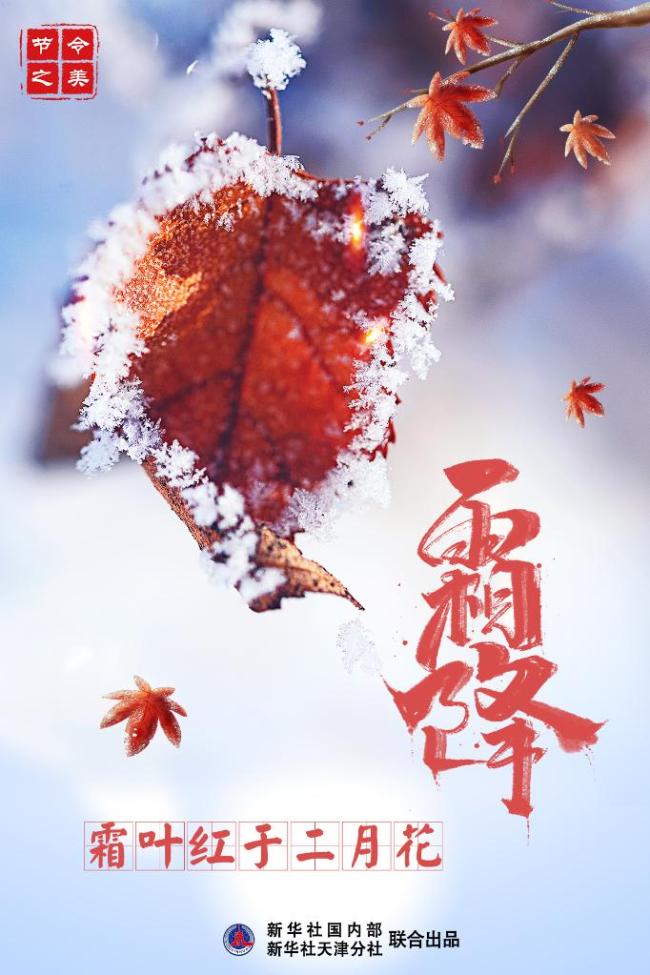 秋季最后一个节气,霜降将在23日18时36分到来