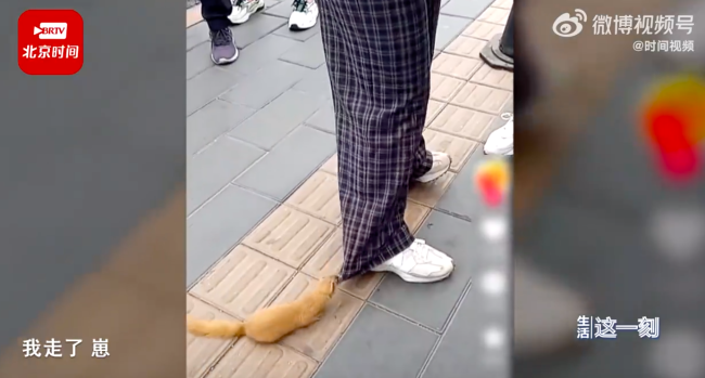 女子遭黄鼠狼拦路咬裤腿不放