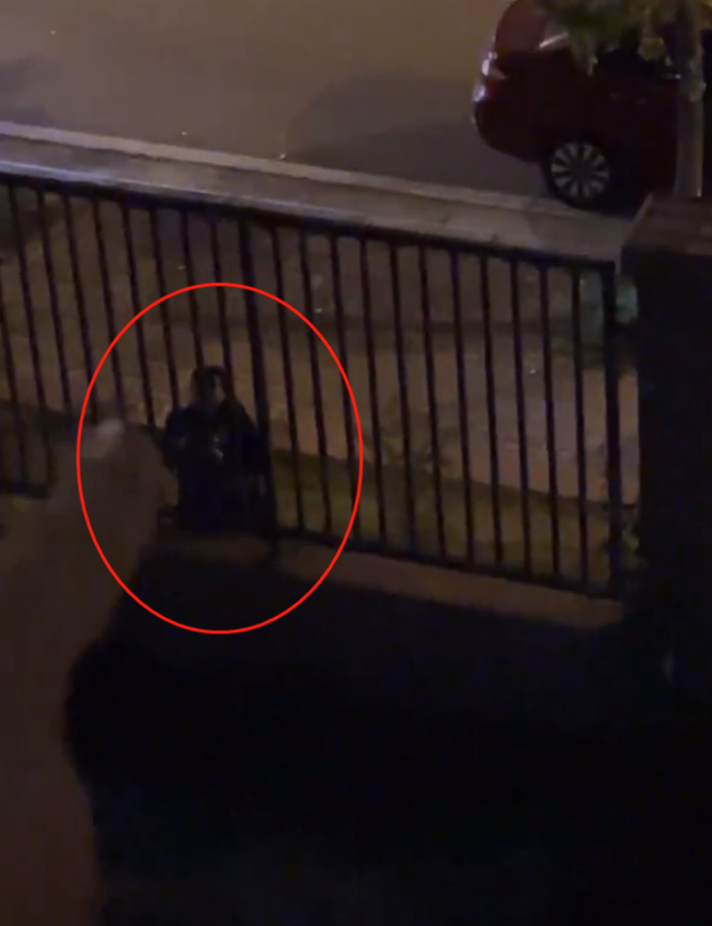 成都警方回应两名男子深夜追赶推倒女子：双方认识 是拆迁的事情