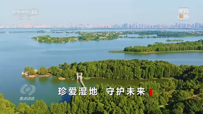 焦点访谈丨珍爱湿地 守护未来_新闻频道_中华网