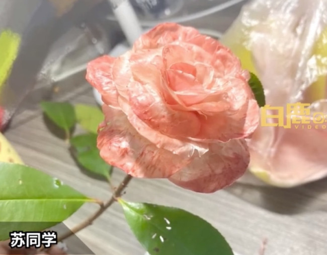 室友送柚子女生用皮做玫瑰花回赠 网友:我扒柚子皮稀碎
