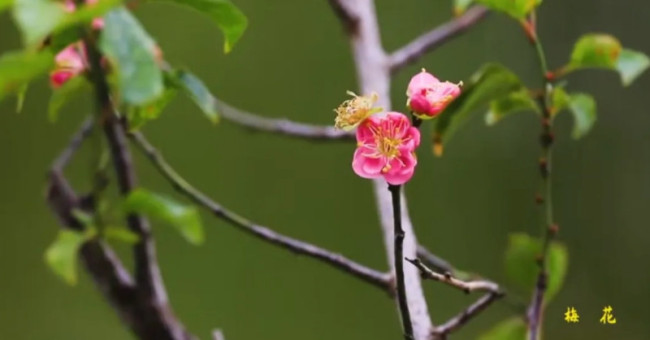 春夏秋冬相关新闻 图片 视频 网友讨论 文化 中华网 春夏秋冬相关新闻 图片 视频 网友讨论 文化 中华网