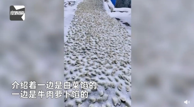 东北女子在院子地上铺满饺子：冬天会吃完这些饺子