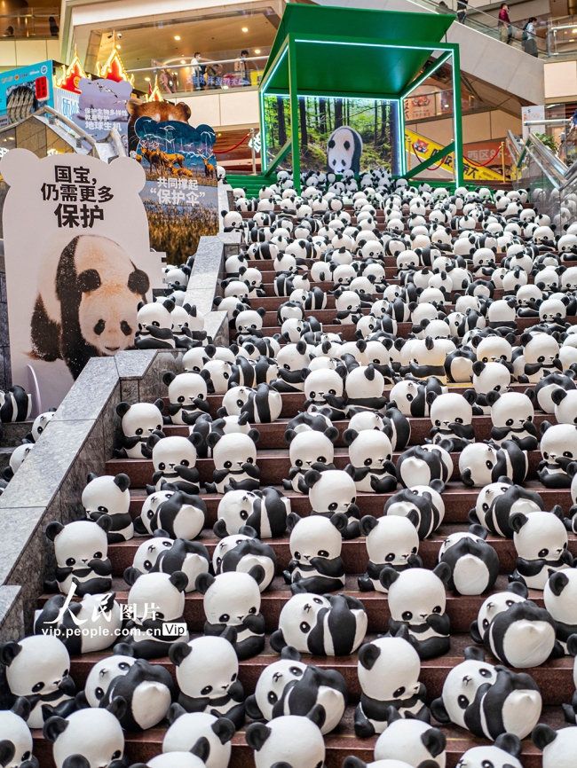 大熊猫巡展 呼吁生物多样性保护【3】