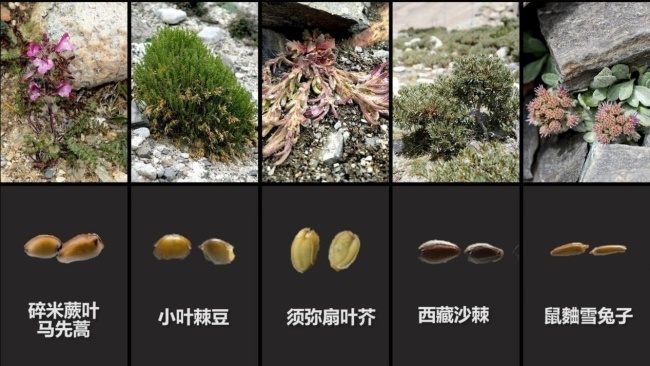 微信图片_20221212155741.png?x-oss-process=style/w10