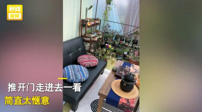 女子晒公公打造的花房惊艳网友:太惬意了