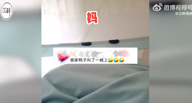 女子高烧40度喊妈 妈妈以为鸭子叫没搭理！不要笑功德会没！