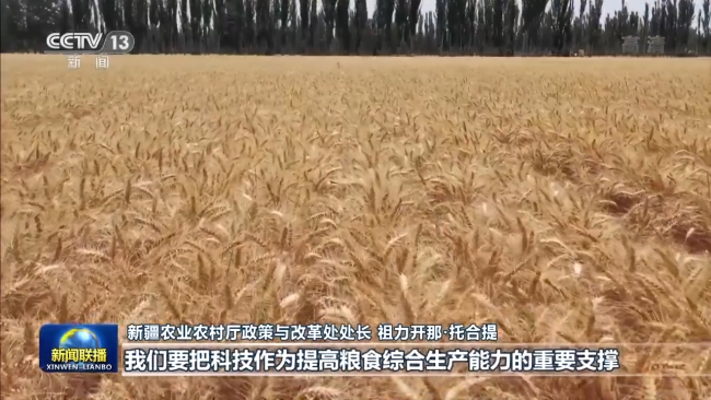 坚定信心 步调一致 汇聚高质量发展的强大合力——中央经济工作会议精神引发热烈反响