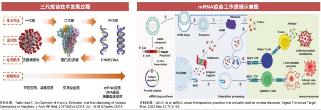 新冠变异株mRNA疫苗捷报频传！产业链受益上市公司梳理来了