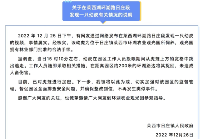 青岛莱西湖环湖路上有老虎在“逛街”？官方回应：情况属实，现已捉回