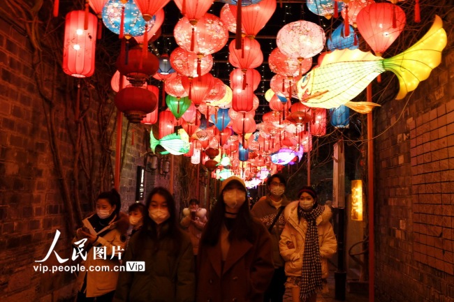 江苏南京：花灯璀璨迎新年【3】